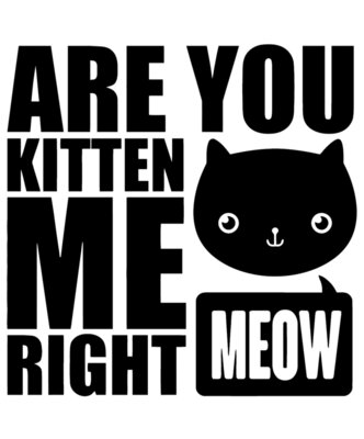 Are You Kitten Me Right Meow T Shirt Crazy Cat Lady Kittens I Love Puss Meowt
