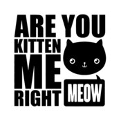 Are You Kitten Me Right Meow T Shirt Crazy Cat Lady Kittens I Love Puss Meowt